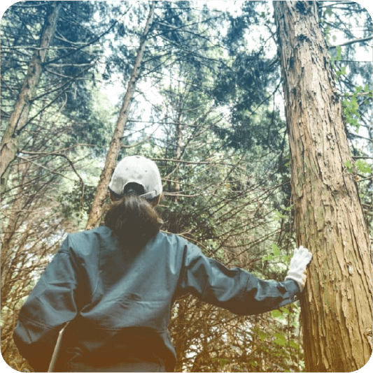 造林・造材・素材生産事業