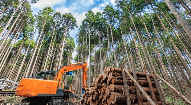 造林・造材・素材生産事業